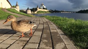 Псков. Кром - Псковский кремль. Храмы, набережные и виды