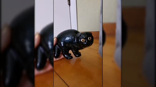 🎄Рождество и знакомство🐾🌼