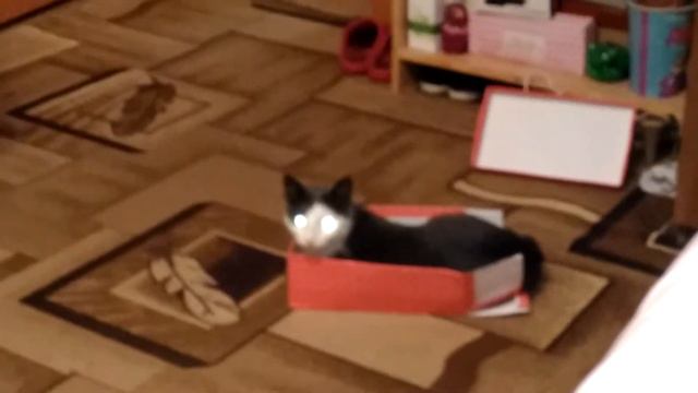 инопланетяне существуют... смотреть онлайн