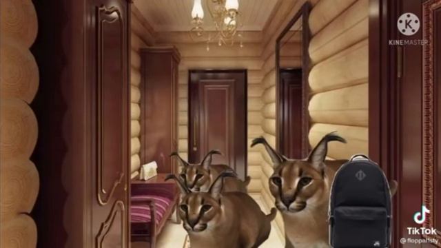 Сериал Невероятное приключение Шлёпы #3 Приехали на дачу и увидели розыск смотреть онлайн