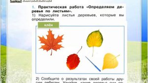 Задание 1 Что это за листья? - Окружающий мир 1 класс (Плешаков А.А.) 1 часть