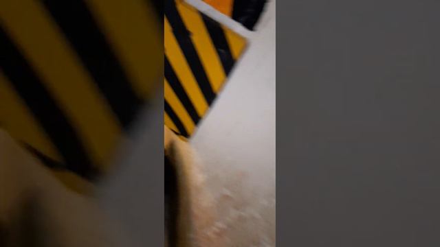 Все выше выше и выше на Берлинский кафедральный собор, #Berliner Dom, 12 ноября 2022 года. смотреть онлайн