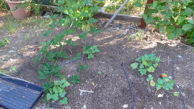 Vlog September 6, 2022 смотреть онлайн