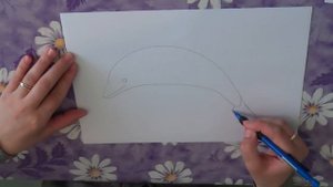 Как нарисовать дельфина поэтапно.