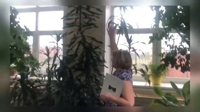 Экскурсия в зимний сад смотреть онлайн