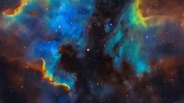 Антропология пыриков