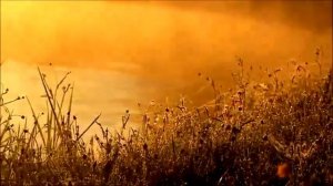 Красивый рассвет(Beautiful dawn, Russia)