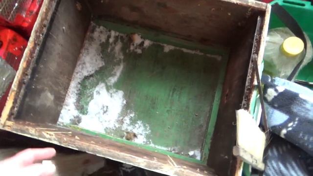 Пчеловодство.Начало.Урок 1-й.