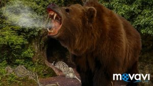 Короткомордый медведь против пещерного медведя