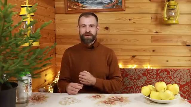 Эти болезни погубят весь урожай в теплице.