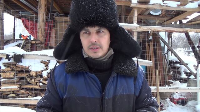 халвинг равенкоин