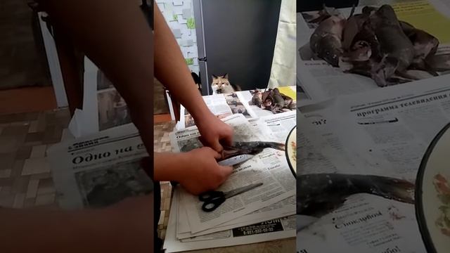 Как снять шкуру с окуня быстро и чисто смотреть онлайн