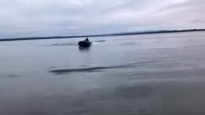 Лодка Гладиатор 370 и лодочный мотор Yamaha 20 лс 1 чел