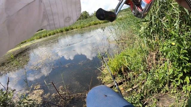 КРУПНЫЕ КАРАСИ на МЕДОВОЕ ТЕСТО. рыбалка НА КАРАСЯ. ловля карася