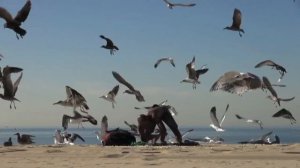 КРУТЫЕ ПРАНКИ / ПОДБОРКА ЗАБАВНЫХ РОЗЫГРЫШЕЙ /CRAZY PRANK