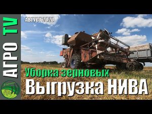 Выгружаем горох на НИВА СК-5
