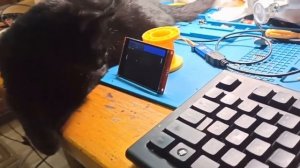 TFT экран подключен к STM32. Свой минималистичный GUI для встраиваемых приложений.