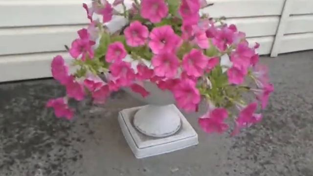 Ампельные петунии - Розовая лавина и Белая лавина смотреть онлайн