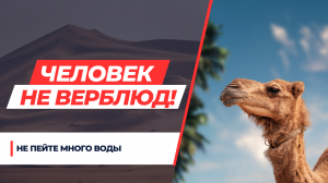 БОЛЬШАЯ ОШИБКА!! НЕ ВЛИВАЙТЕ СЕБЯ ЛИТРАМИ ВОДУ