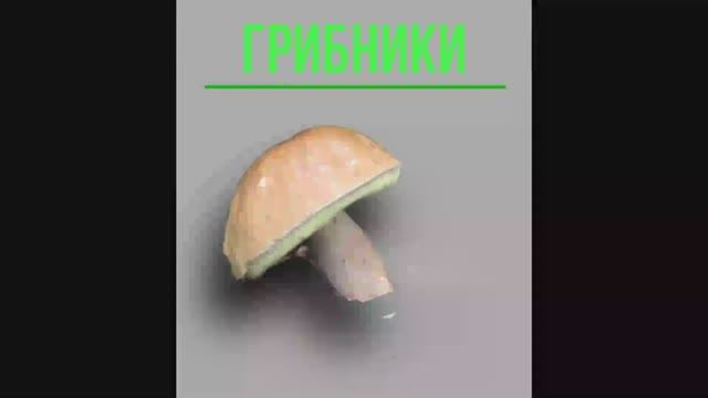 Большой БЕЛЫЙ ГРИБ