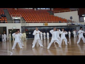 Цигун. 14-й Международный турнир. Командное выступление Ассоциации "Даоинь России" /Пекин 2018/