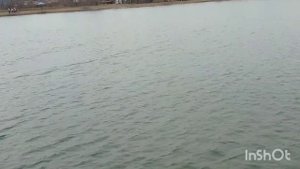 RUNFERRY; Тест испытание новейшего карпового кораблик