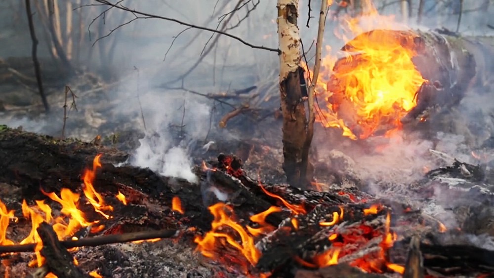 В Испании лесной пожар заблокировал движение поезда / События на ТВЦ