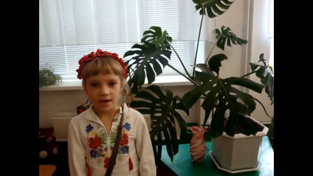 КІМНАТНІ РОСЛИНИ
