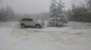 Прадо 120.Дрифт.