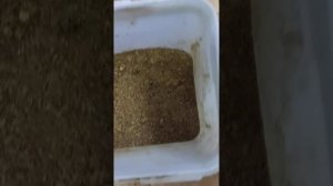 станок для выбивания перги