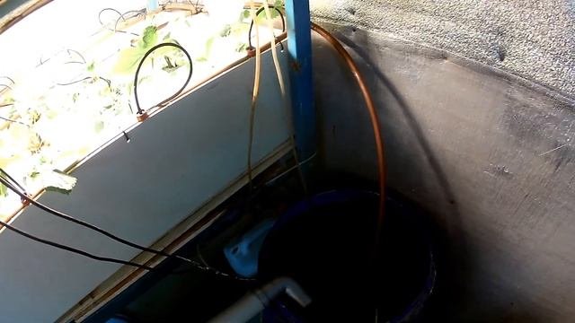 Клубника на гидропонике. Основные узлы или из чего состоит гидропоника.