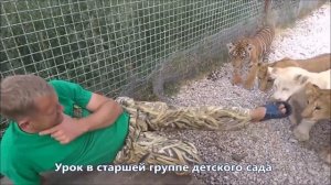 Волшебный тапок Олега Зубкова. Парк львов Тайган. Magic slipper of Oleg Zubkov. Park of lions Taiga