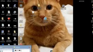 как исправить ошибку При воспроизведении файла проигрывателем Windows Media произошла ошибка Window