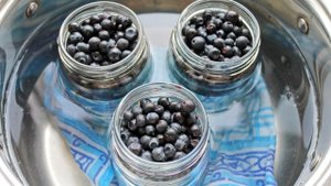 Черника без сахара на зиму