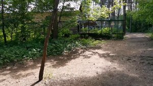 Парк Тверицкий бор