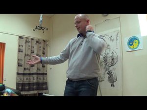 Семинар Краниосакральная терапия 3 ЧЕРЕПНО-МОЗГОВЫЕ НЕРВЫ КСТ3_15