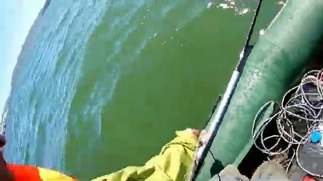 крабы смотреть онлайн