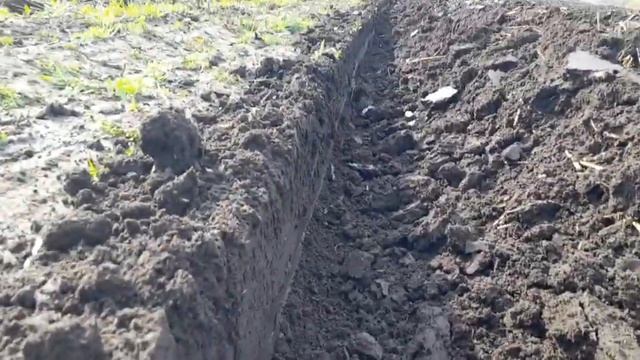 Плуг двухкорпусный для мотоблока! Пока никак ((