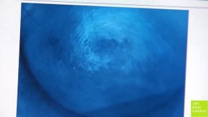 Промывка инжектора Лавром.Промывочный стенд своими руками. Volkswagen Passat b5