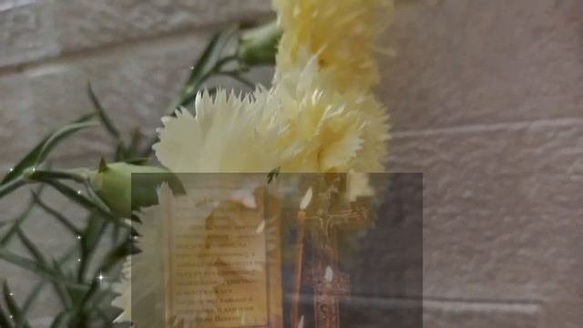 11 июня Троицкая Суббота. Поминальный День. С Троицкой Родительской Субботой!