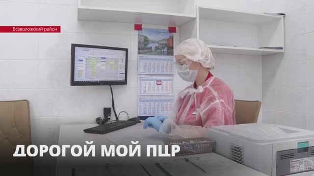 Прокуратура Ленобласти проверила одну из клиник во Всеволожском районе на стоимость ПЦР-тестов