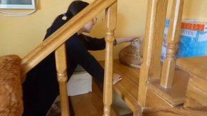 VLOG Наконец-то мы выехали на море. Кого взяли с собой