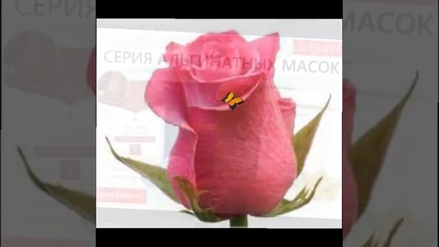 ПРОДУКЦИЯ КОМПАНИИ "БАТЭЛЬ"