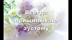 Всегда прищипываю эустому