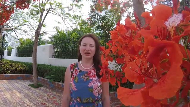 Кто такая Наталья Скворец? смотреть онлайн