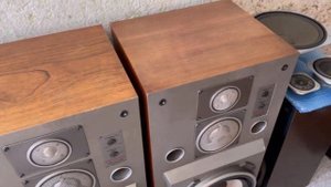In Audio Советский Hi-End Электроника 100АС-063 Разбор акустики Часть 1