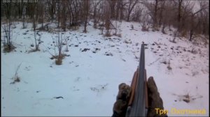 ОХОТА. САМОЕ ИНТЕРЕСНОЕ!!! ЛУЧШИЕ МОМЕНТЫ ОХОТЫ. Шакал, лисы, заяц, фазаны.
