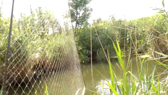 Рыбалка на черепах смотреть онлайн