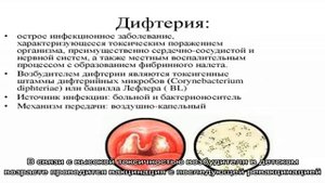 Мазок из зева на дифтерию