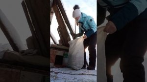 ЖИЗНЬ В Деревне\ ЛУЧШАЯ подстилка для СОБАКИ в БУДКУ\ Как ВЫЖИТЬ в СУРОВЫЕ МОРОЗЫ собаке на улице